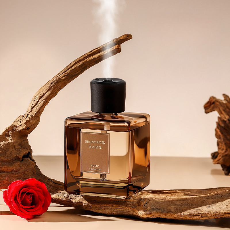 Diffusore di Aromi da 500ml, D - Home Fragrance Best recensione e prezzo